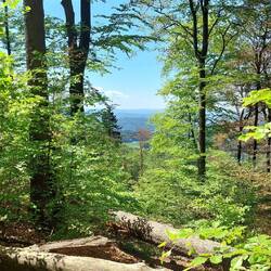 Hindernisse auf dem Steilanstieg!