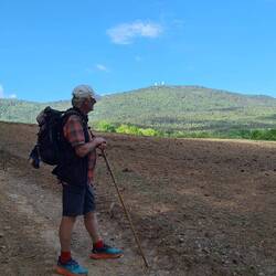 Blick zum Hohen Bogen, 1079m!