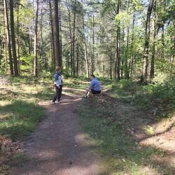 Waldspaziergang am Bergsee Damme
