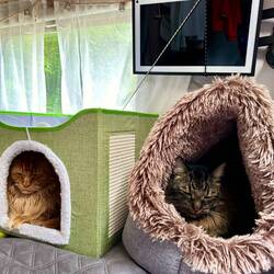 Bereit für die Abfahrt 😺