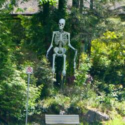 Deshalb soll man hier nicht parken