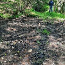 Hier ist eine Stelle, wo die Alle entspringt. Ist leider schlecht zu sehen.