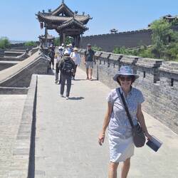 A feature of the compound (while we were there)