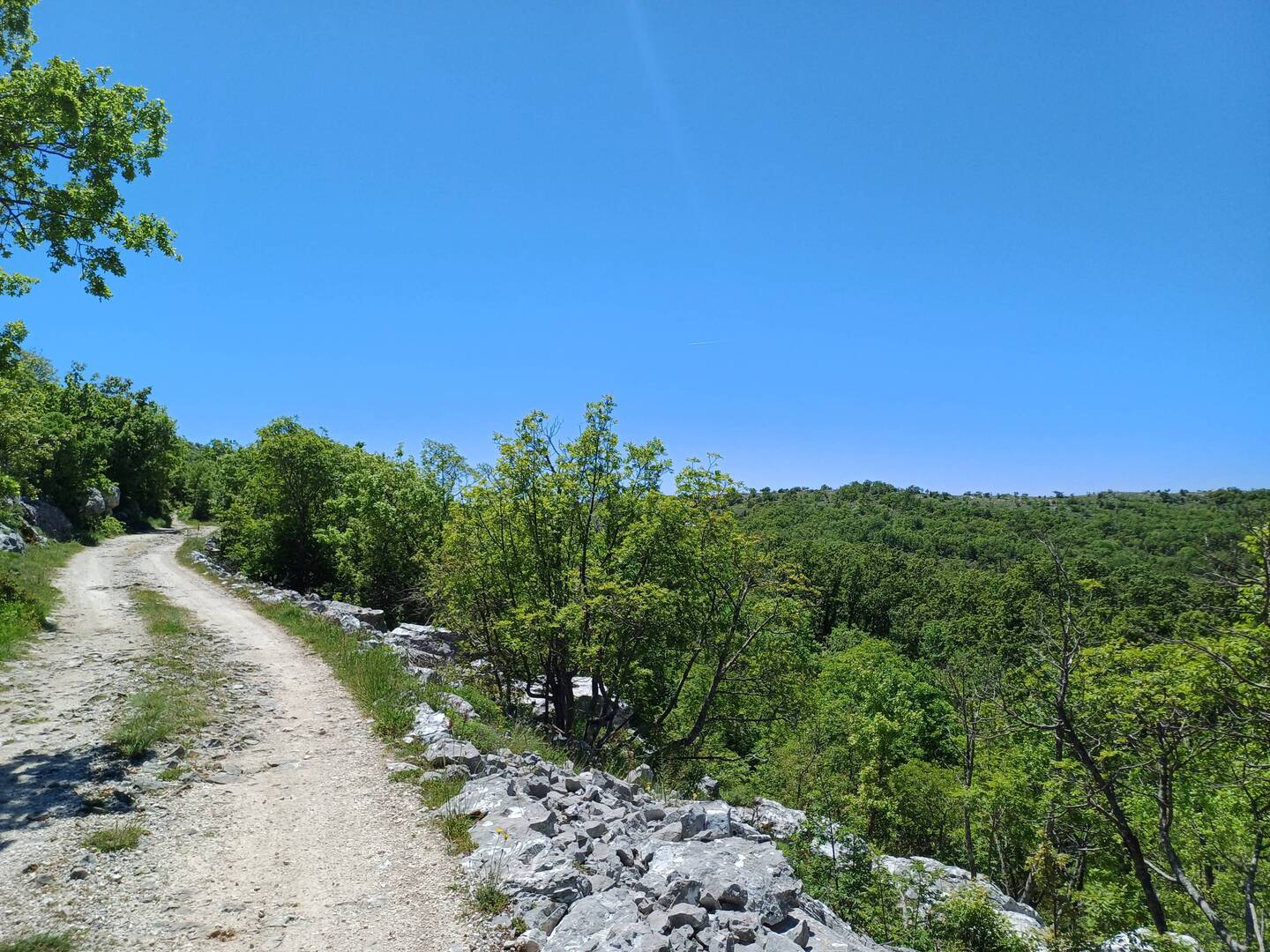 Auf dem Weg zum Startplatz