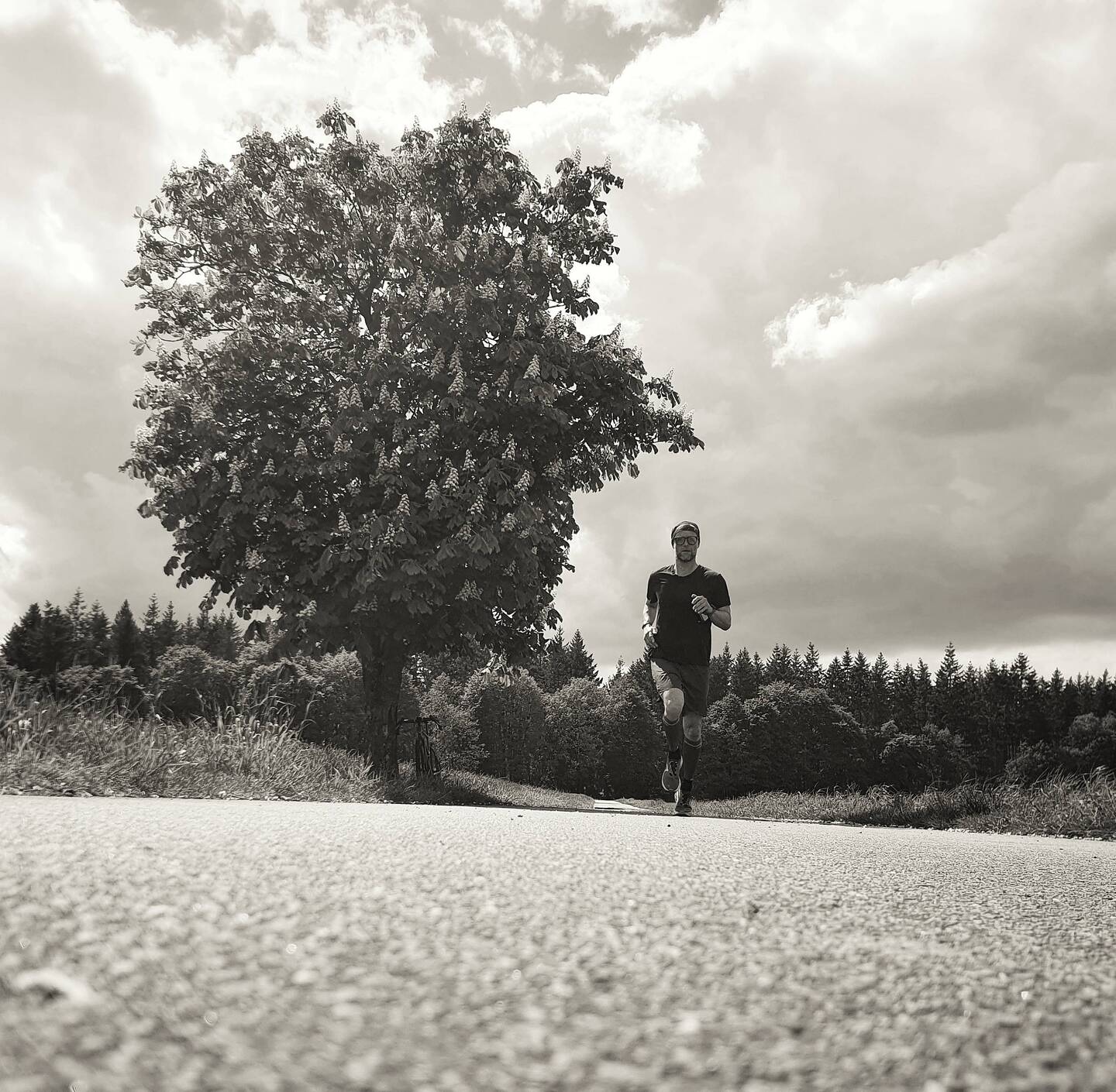 lauf Marco lauf!