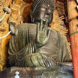 Right palm out says "don't be afraid'.