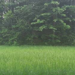 Hier im Hügel befindet sich ein Wasserspeicher.