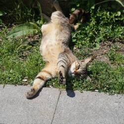 da gnüssts öpper😍🥰