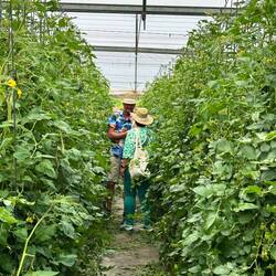Selber flücken macht d...