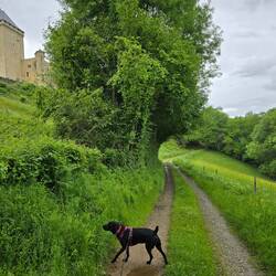 One of the many tracks to walk along around the Château fort
