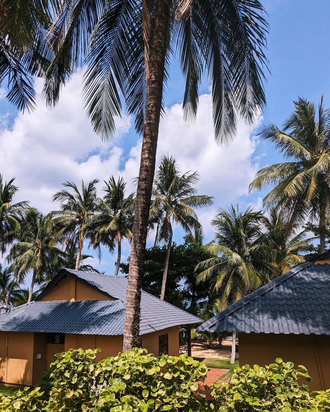 Room with a view