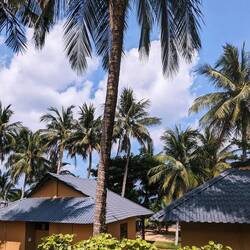 Room with a view