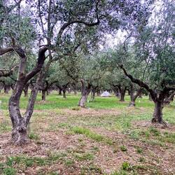 mein heutiger Zeltplatz