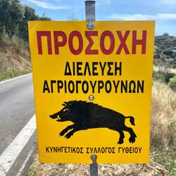 Obwohl ich keine Wildschweine gesehen habe, waren ihre Spuren auf dem Weg überall sichtbar.