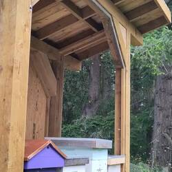 Die Bienen schwärmen aus 🐝