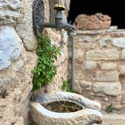 kleine Impression aus dem Klostergarten