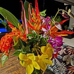 Wunderschöner Blumenstrauss, zusammengestellt von Martha's Bruder Sepp aus seinem Garten