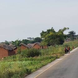 Manuka Trocknung am Straßenrand