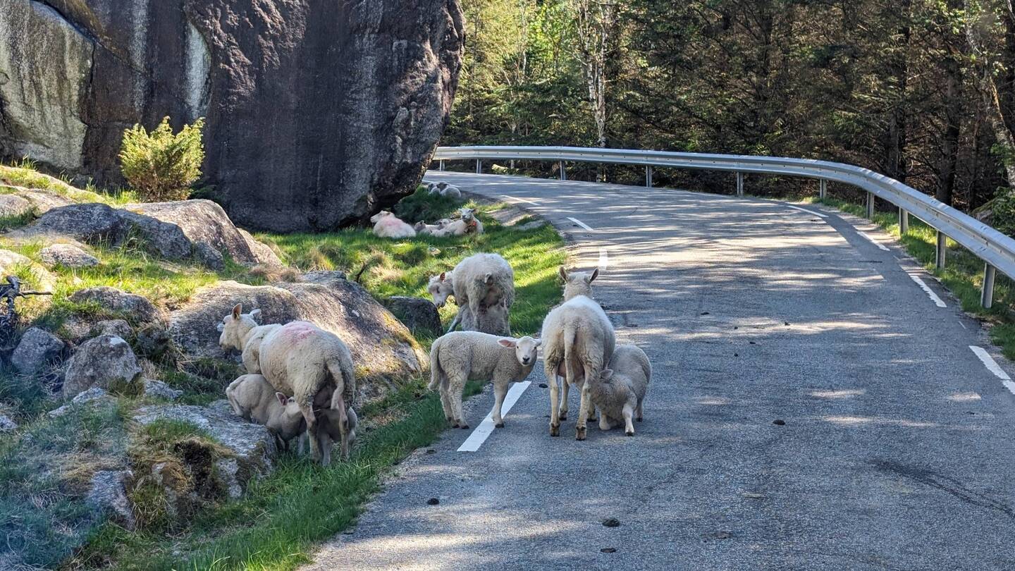 Moment, erst noch was trinken, bevor Du vorbei kannst 😉