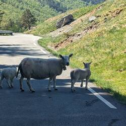 Du schon wieder? 🤣