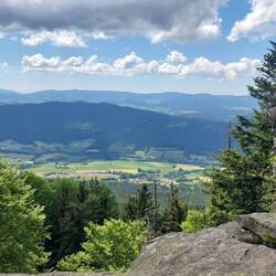 Ausblick vom Kaitersberg!