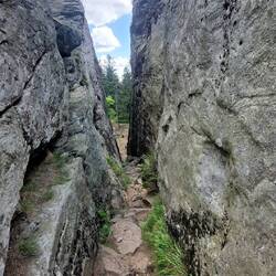 ...ich wähle die Klettervariante! Wer entdeckt Pura-Vida?