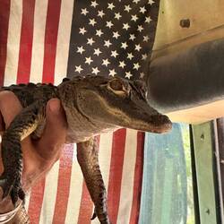 Noch bin ich klein aber warte mal ab.