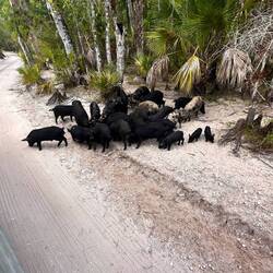 Jede Menge Sauerei ❤️