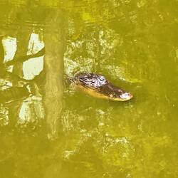 Big brother is watching you....