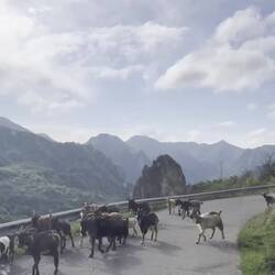 Parque Natural de Somiedo