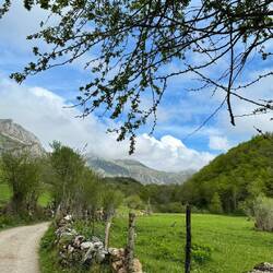 Parque Natural de Somiedo