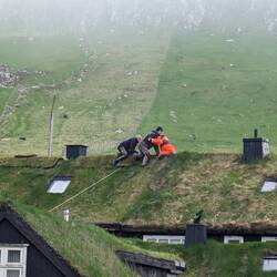 Hier wird ein Dach mit Gras neu gedeckt