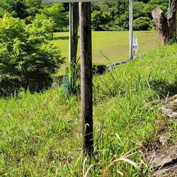 Aha. So sieht eine jap. Wanderweg-Tafel aus. Konzept noch unklar🧐.