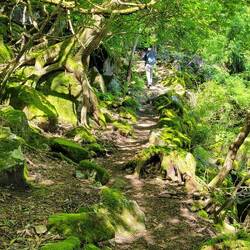 Ja, das steigt schon recht stark an. Aber klettern müssen wir nicht.
