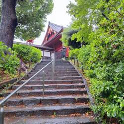 Steps to a shrine in Ueno Park