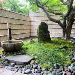 Small garden behind cafe.