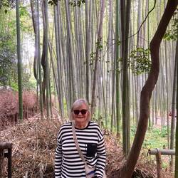 Bamboo forest.