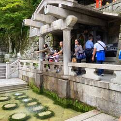 The three streams of water.