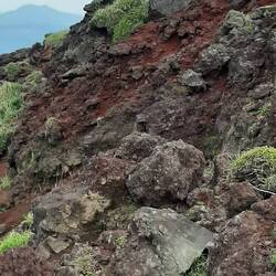 Keine Nagelfluh, sondern rötlich gefärbtes Vulkangestein