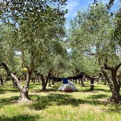 Als ich von meinem Ausflug zurück gekommen bin, war die Wäsche bereits trocken.
