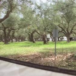 Während ich einen Nachmittagsschlaf gemacht habe...