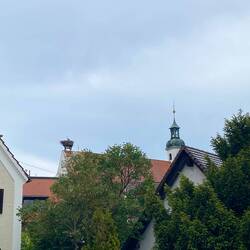 … hier ein lebendiger Storch …