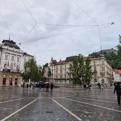 "Presernov trg". Übrigens, Trg heisst Platz.