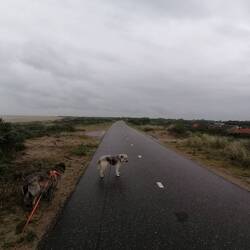 Nur Radwege sehr gut ausgebautes Netz 🚲