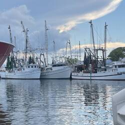 Some of the Shrimp Boat fleet in Oriental.