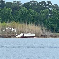 Looks like somebody sliced this sailboat in half.