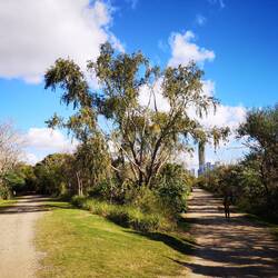 Im Reserva Ecologica