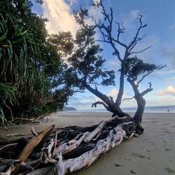 Kunstwerke der Natur