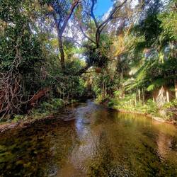 Verwunschene Plätze, ich hab das Gefühl gleich kommt Tarzan🤣