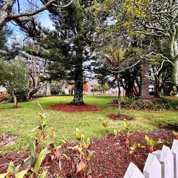 just a beautiful house 🤪